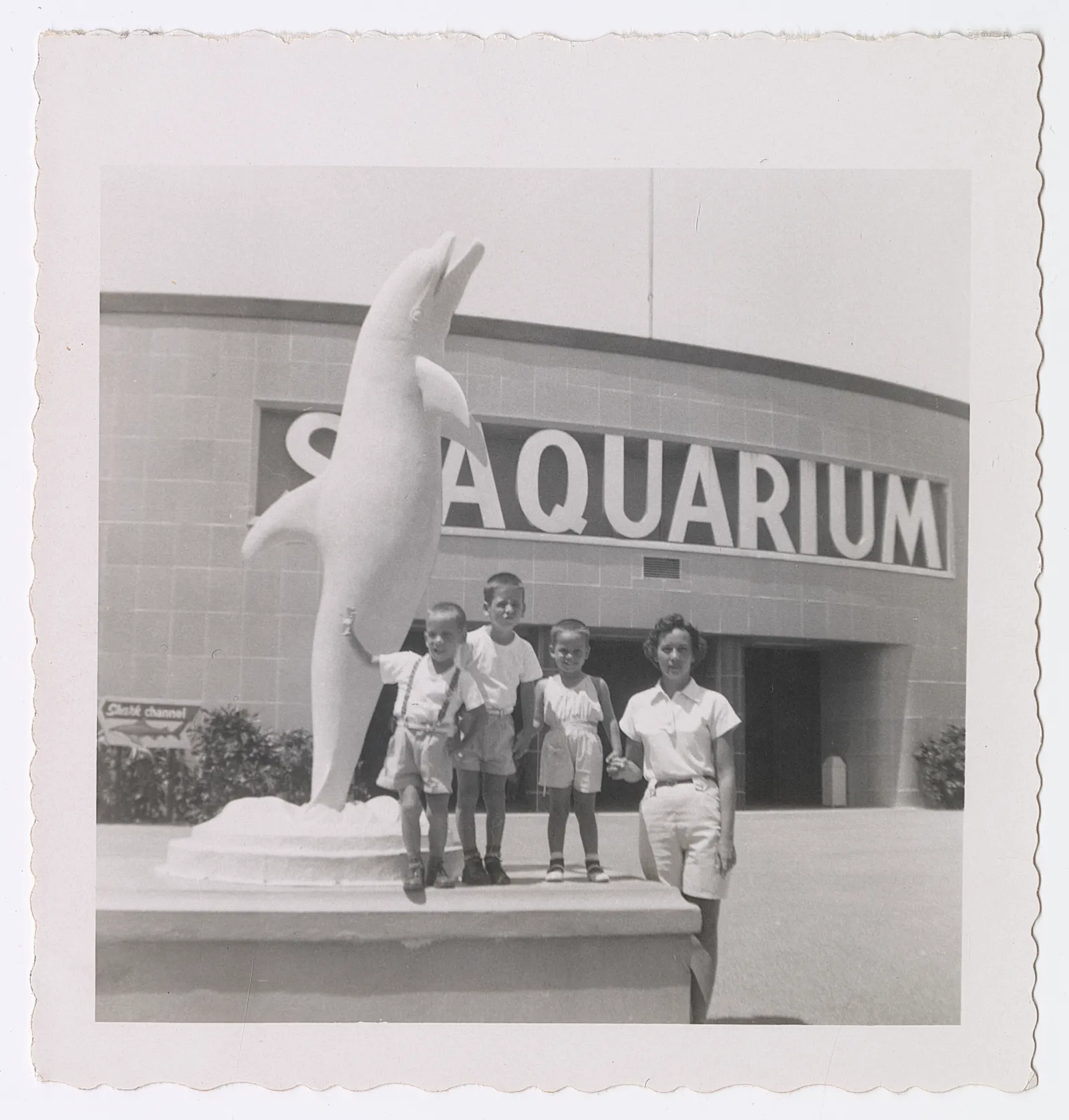 Matthews Family Aquarium Photo Bobby, Bunny, Ann, Valetta
