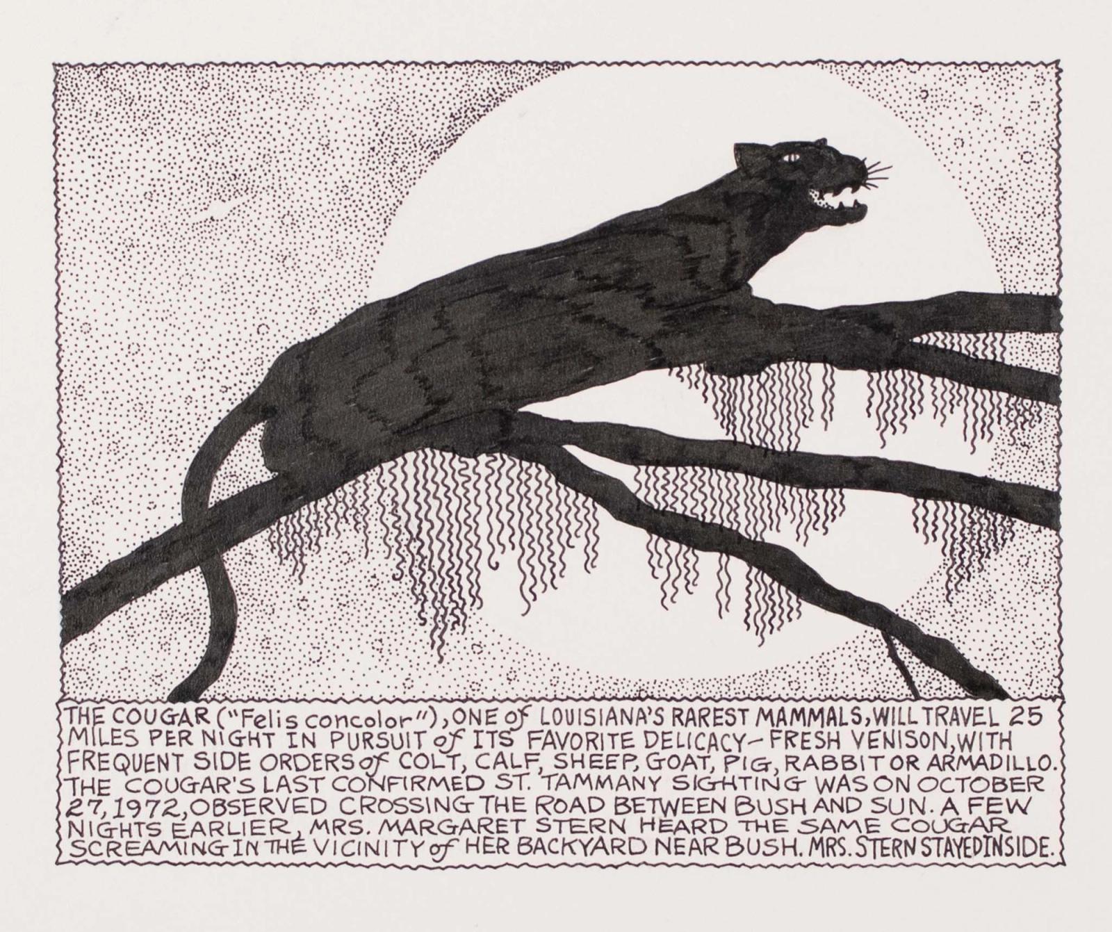 One of Louisiana's Rareset Mammals, Will Travel 25 Miles Per Night In Pursuit