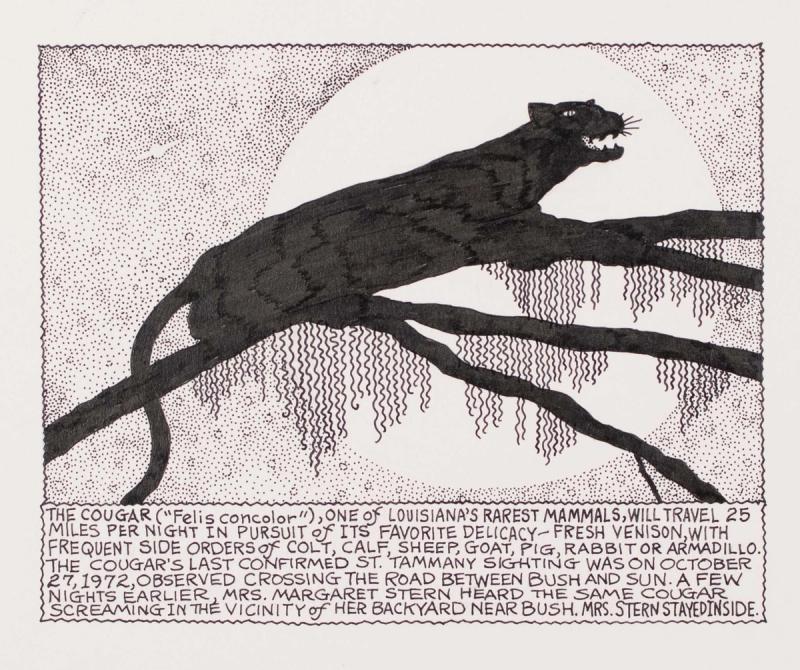 One of Louisiana's Rareset Mammals, Will Travel 25 Miles Per Night In Pursuit