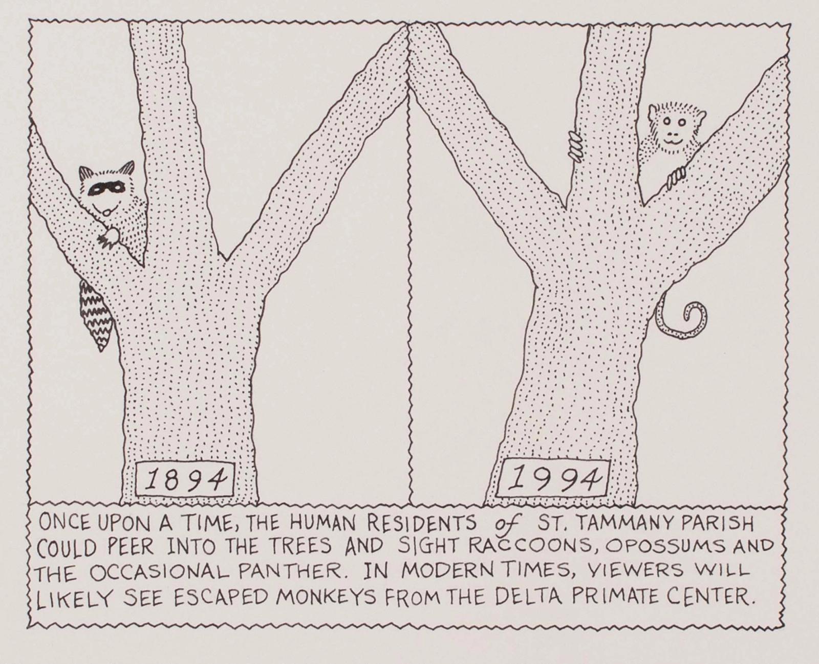 The Human Residents of St. Tammany Parish Could Peer Into The Trees and Sight Racoons