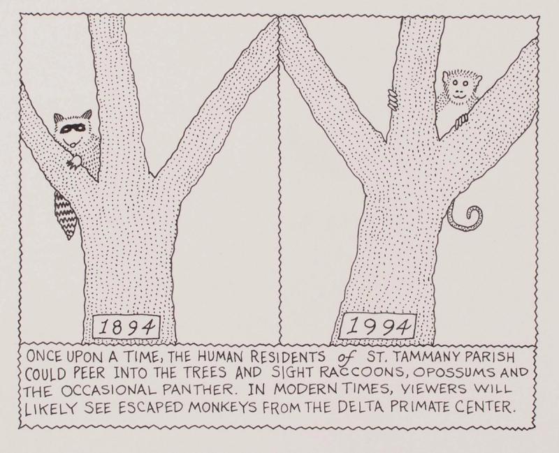 The Human Residents of St. Tammany Parish Could Peer Into The Trees and Sight Racoons
