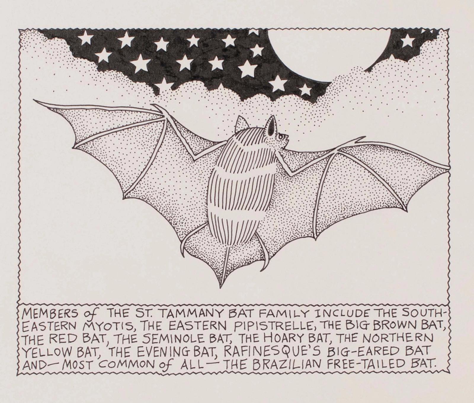 Members of The St. Tammany Bat Family