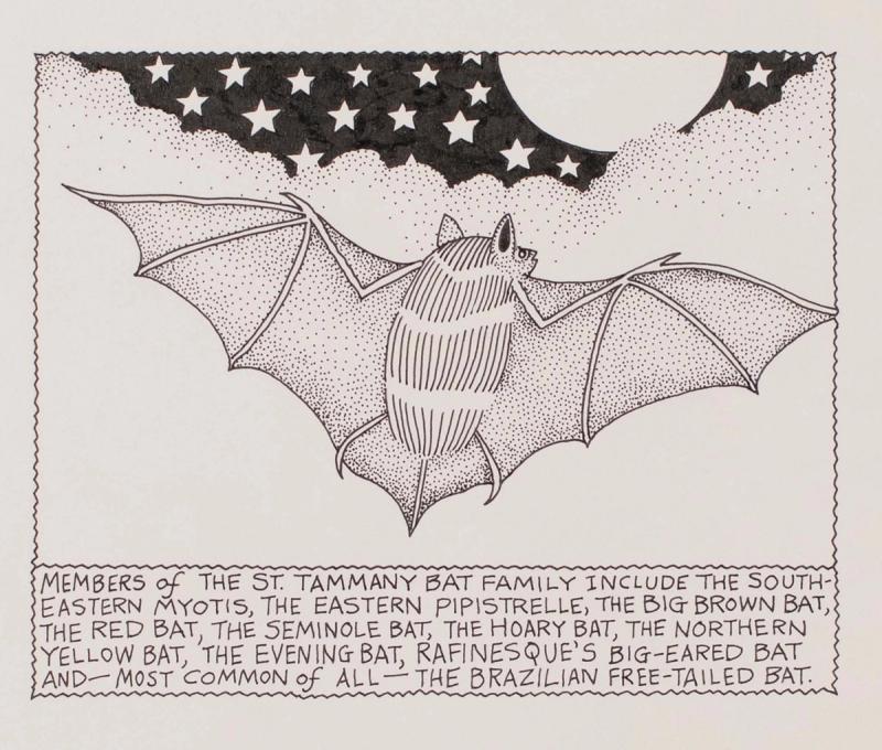 Members of The St. Tammany Bat Family