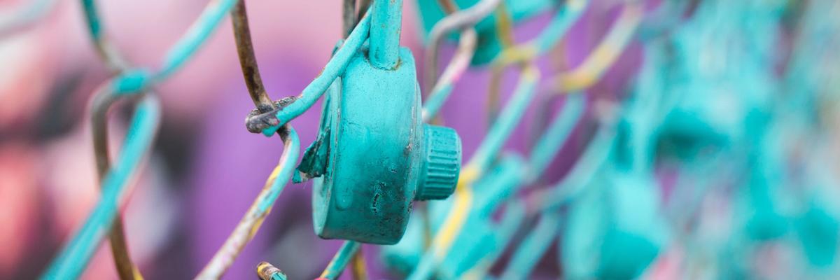 Locks hanging on a metal mesh fence