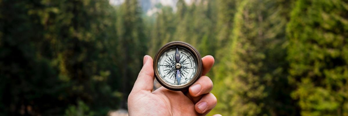 Hand holding compass with a backdrop of a pine forest and mountains