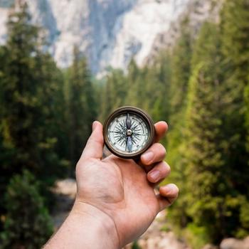 Hand holding compass with a backdrop of a pine forest and mountains