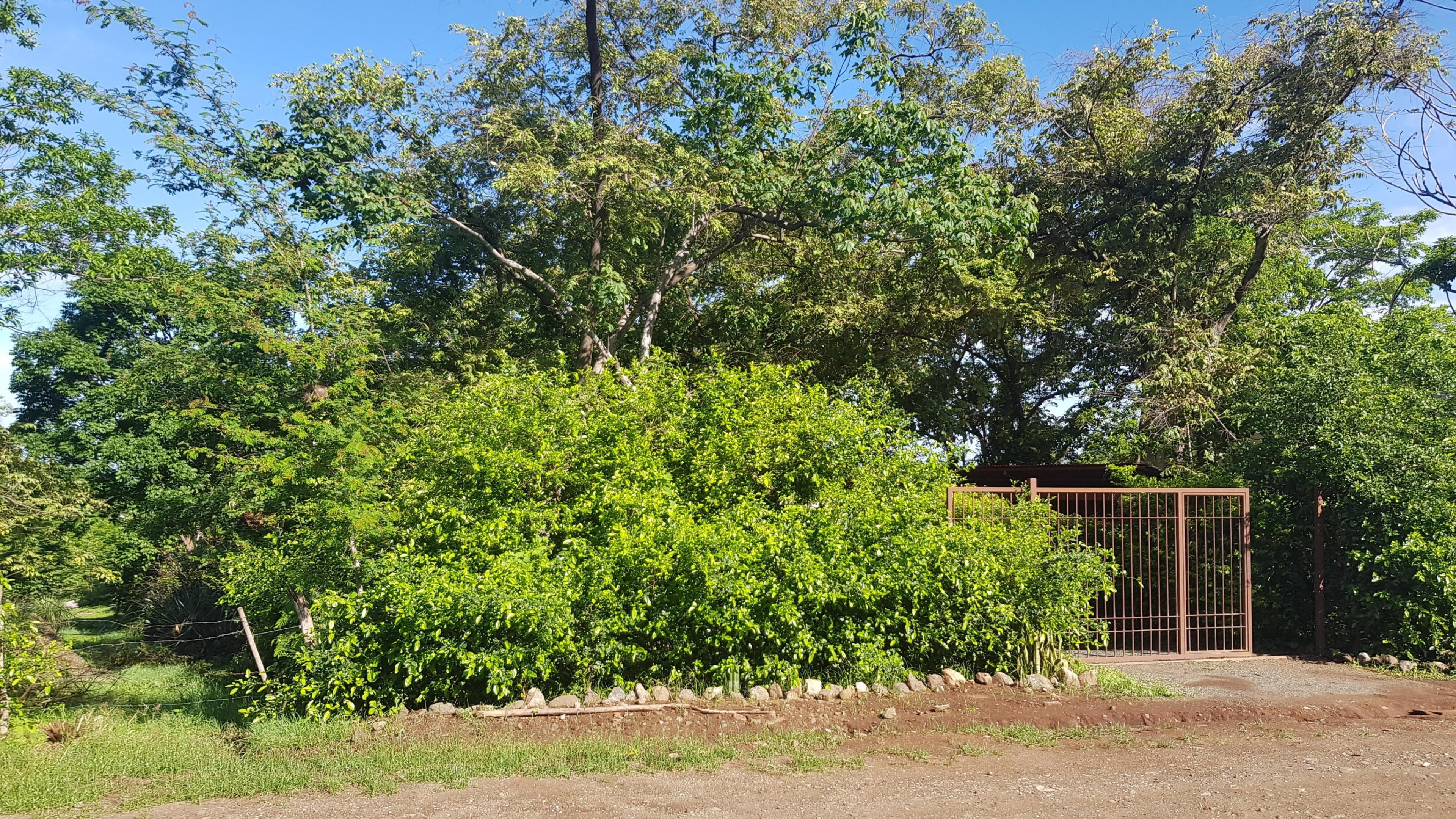 Casa Laurel