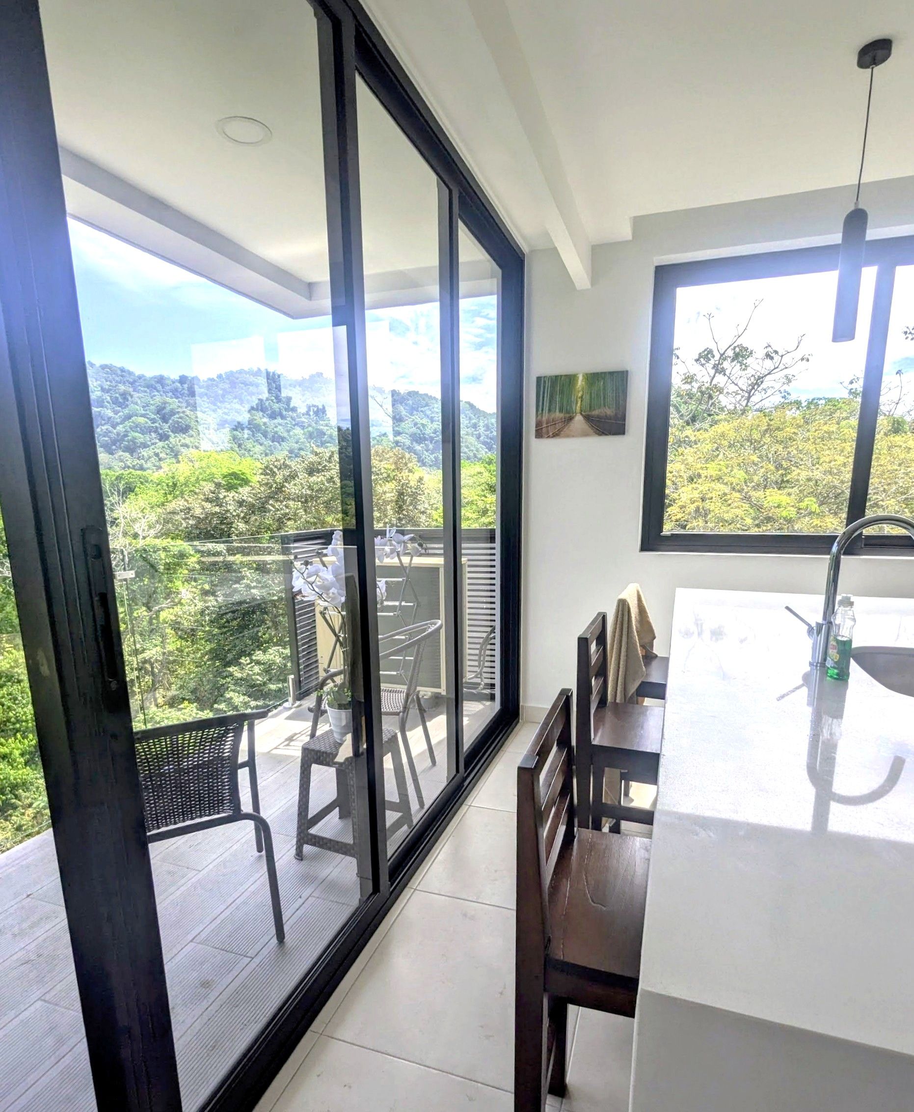 Seventh Heaven: Jungle & Sea