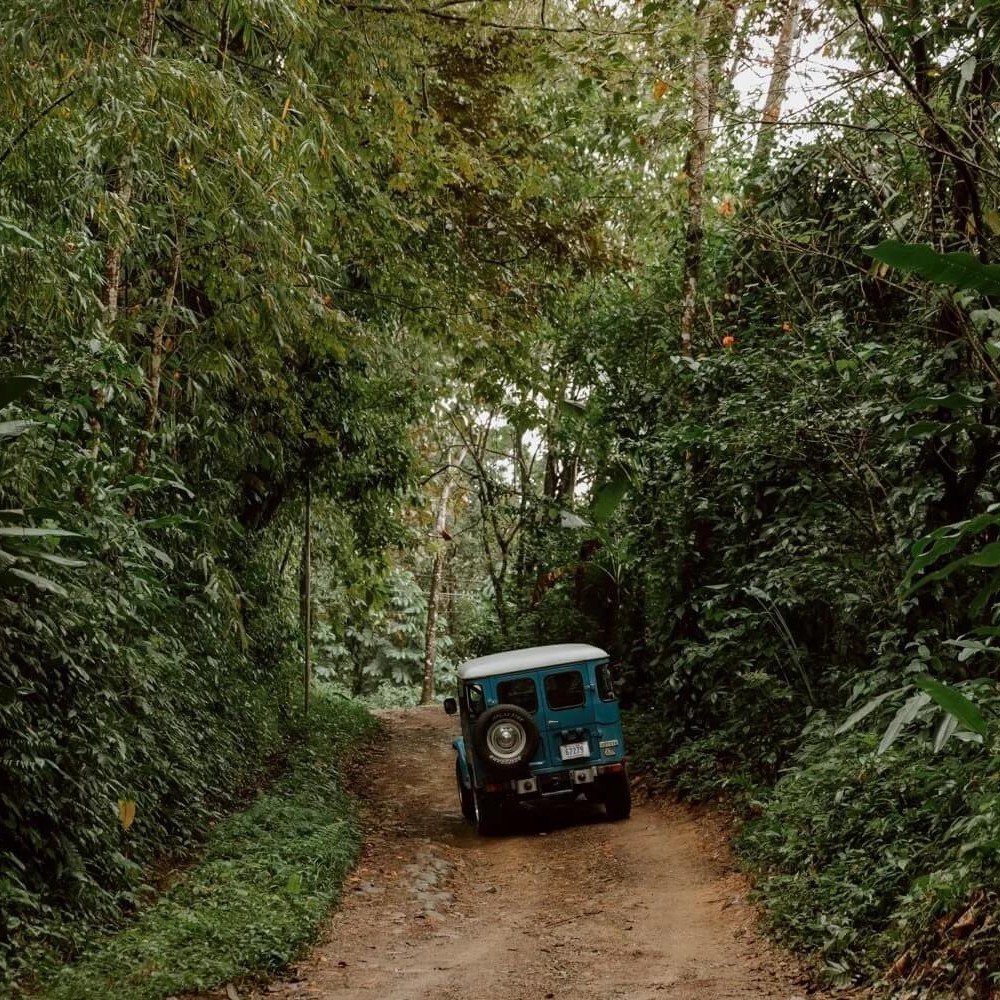 The Art of Slowing Down: How Costa Rica Teaches You Balance