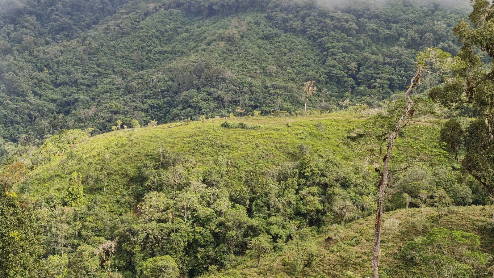 48.49-Acre Property with River & Mountain Views