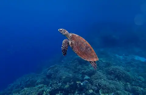 Costa Rica
