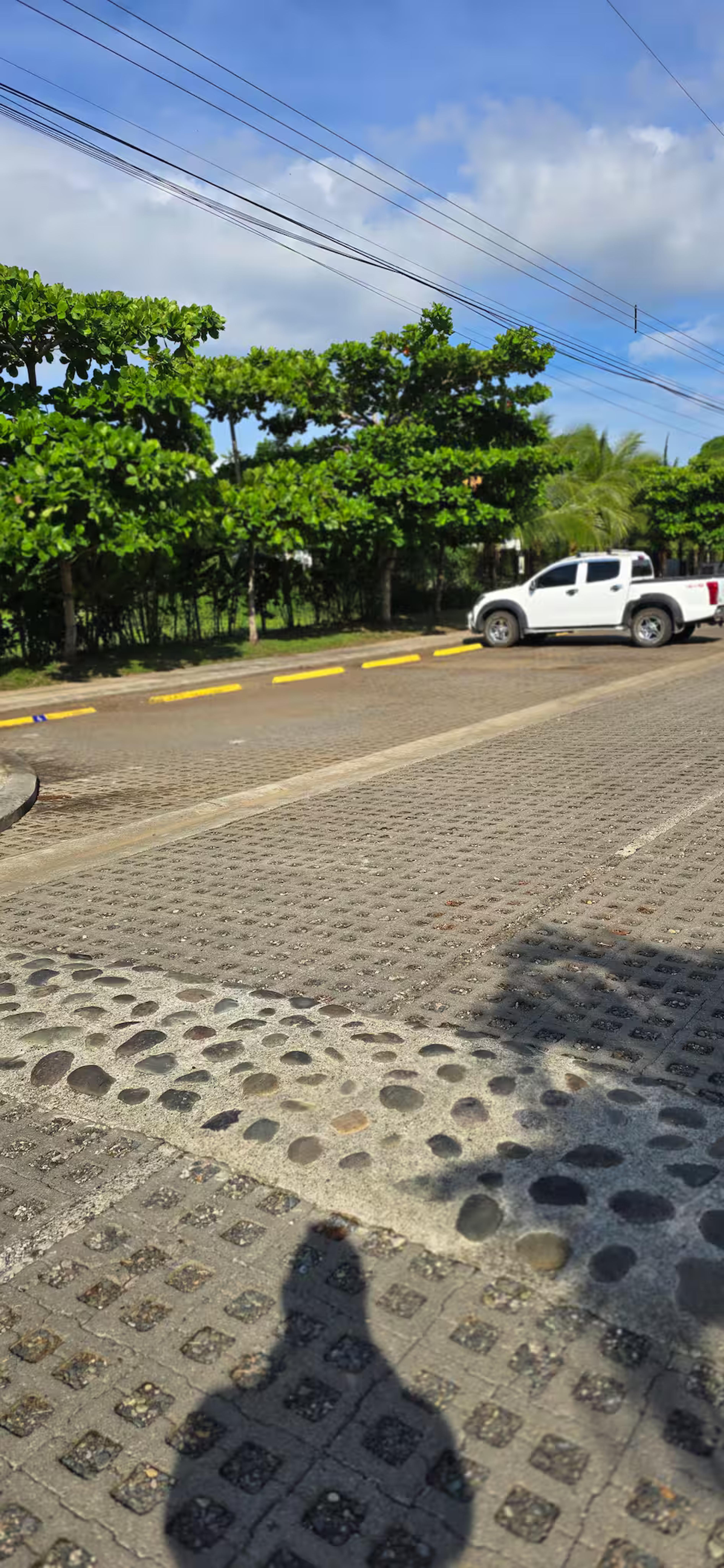 Lapa Living