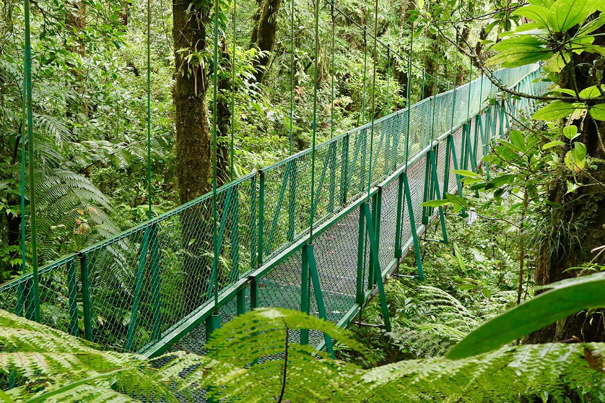 Monteverde Cloud Forest Reserve