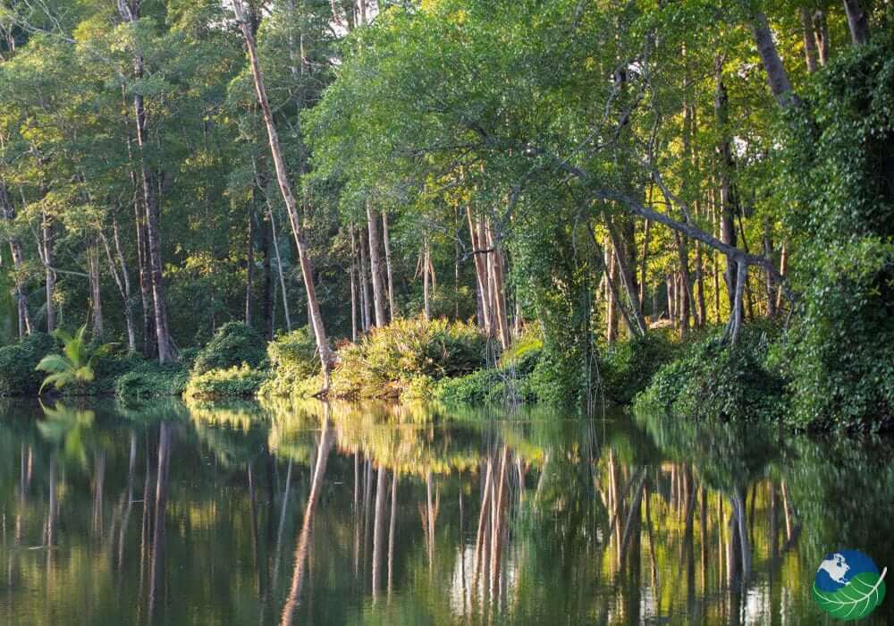 Carara National Park