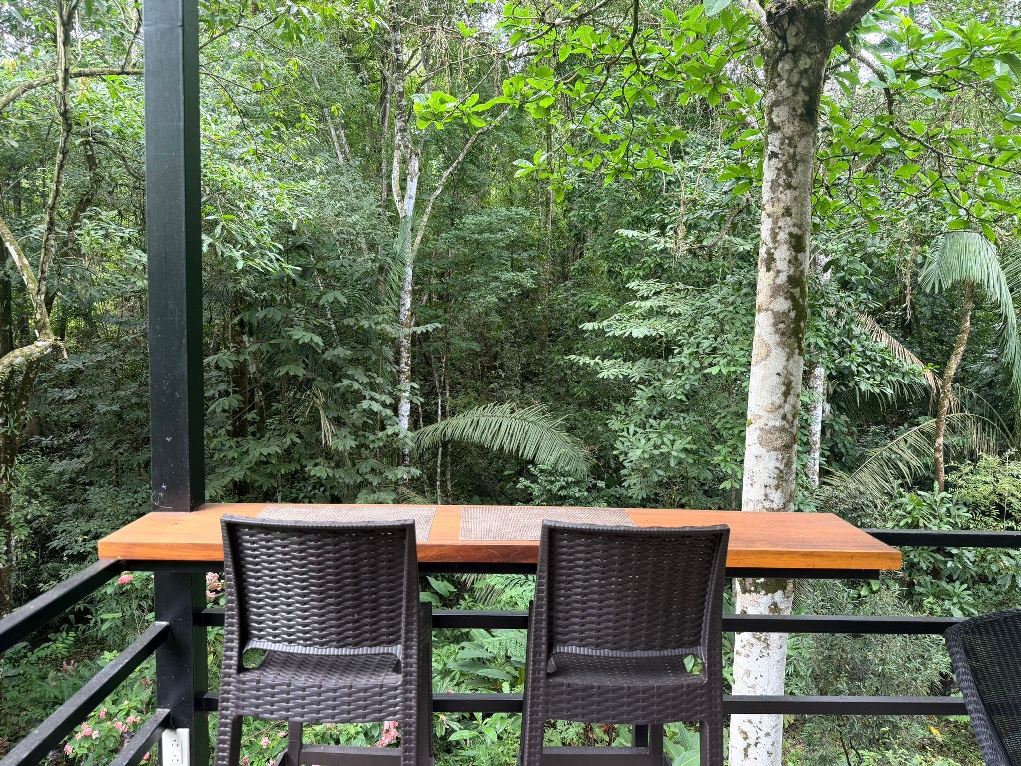 Bungalow Jungle Papagayo 