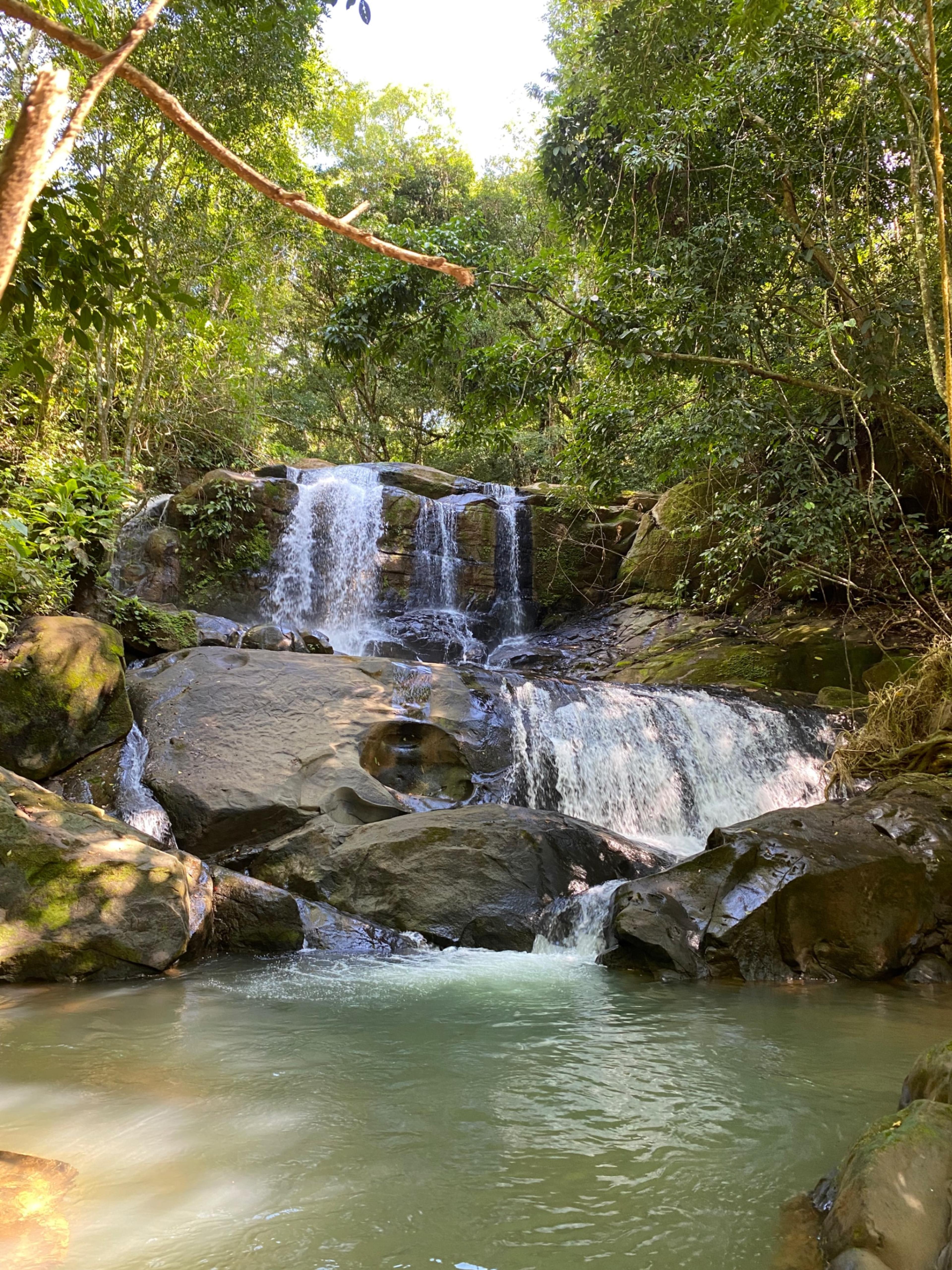 Turnkey Jungle Retreat Center with Private House