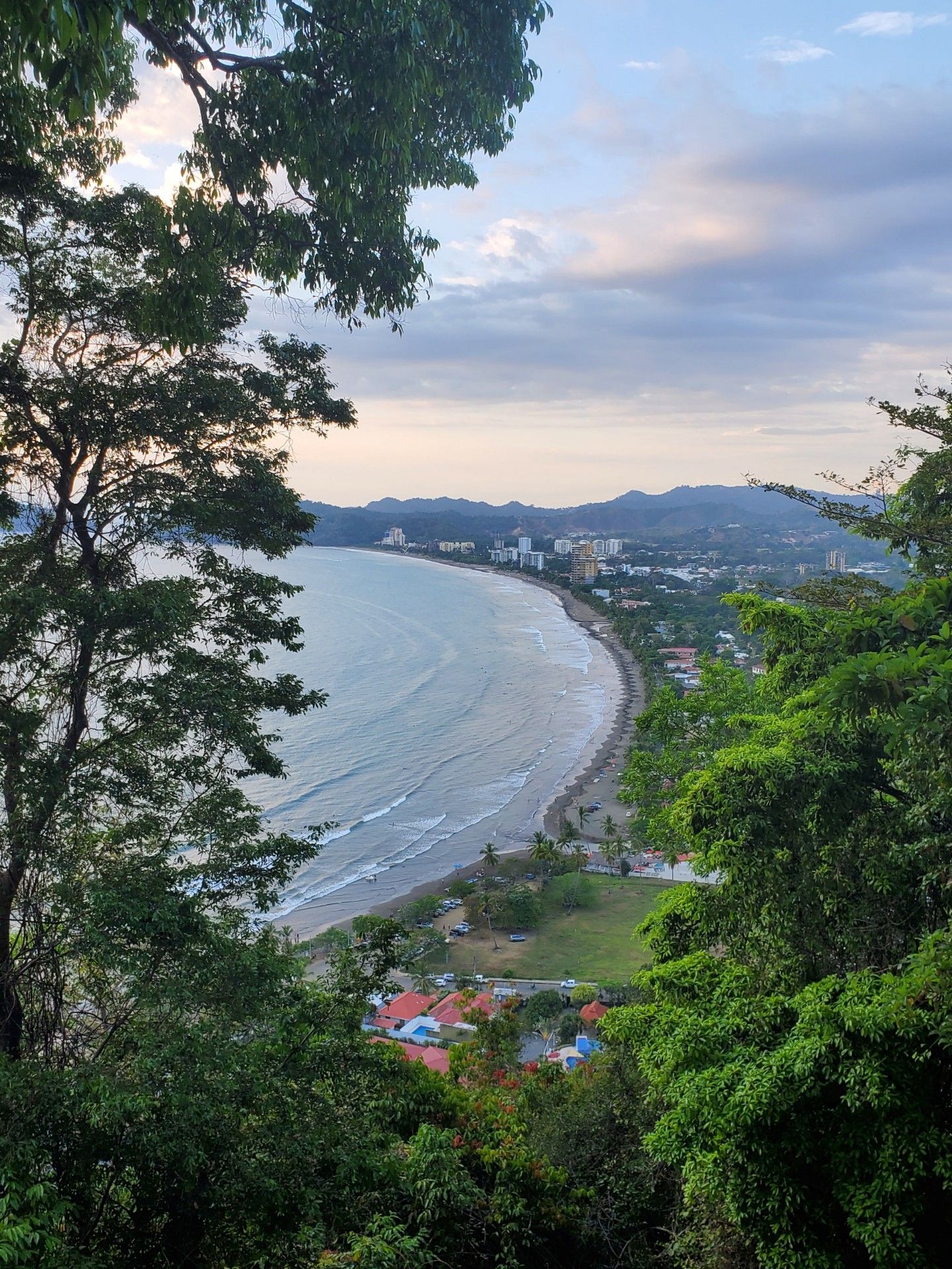 Seventh Heaven: Jungle & Sea