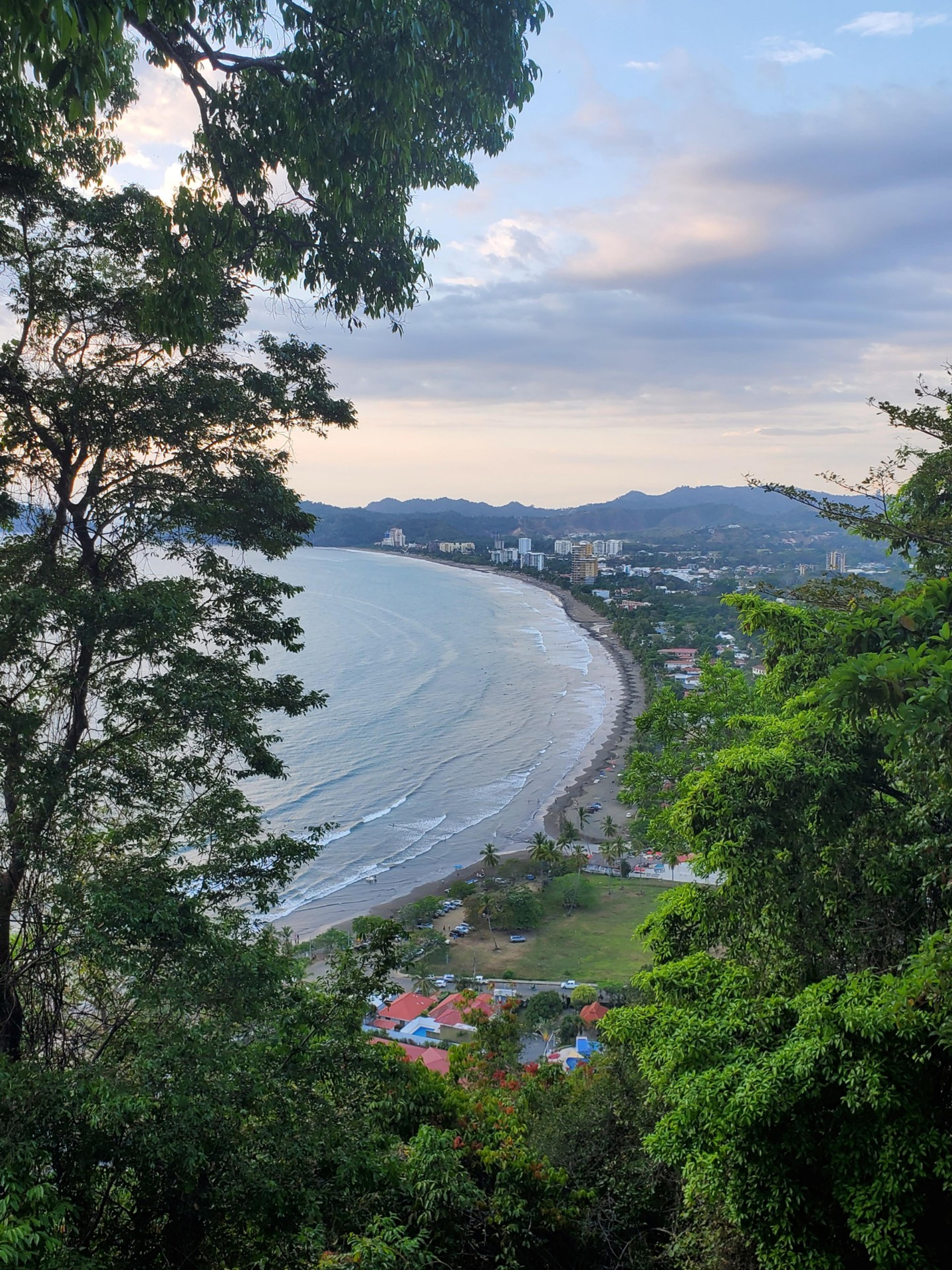 Seventh Heaven: Jungle & Sea