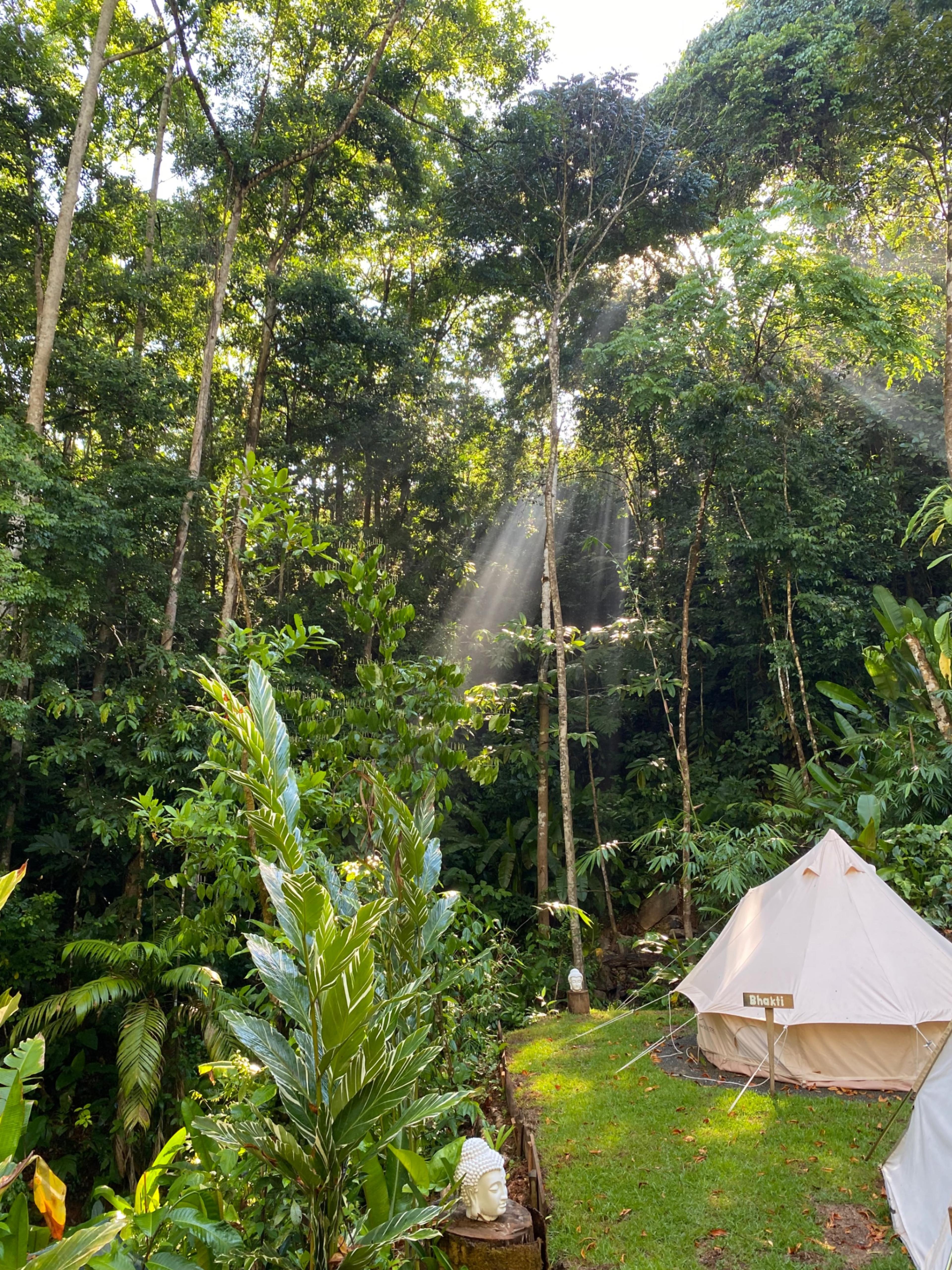 Turnkey Jungle Retreat Center with Private House