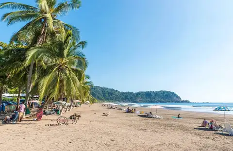 Palm-lined beach in Jaco, Costa Rica