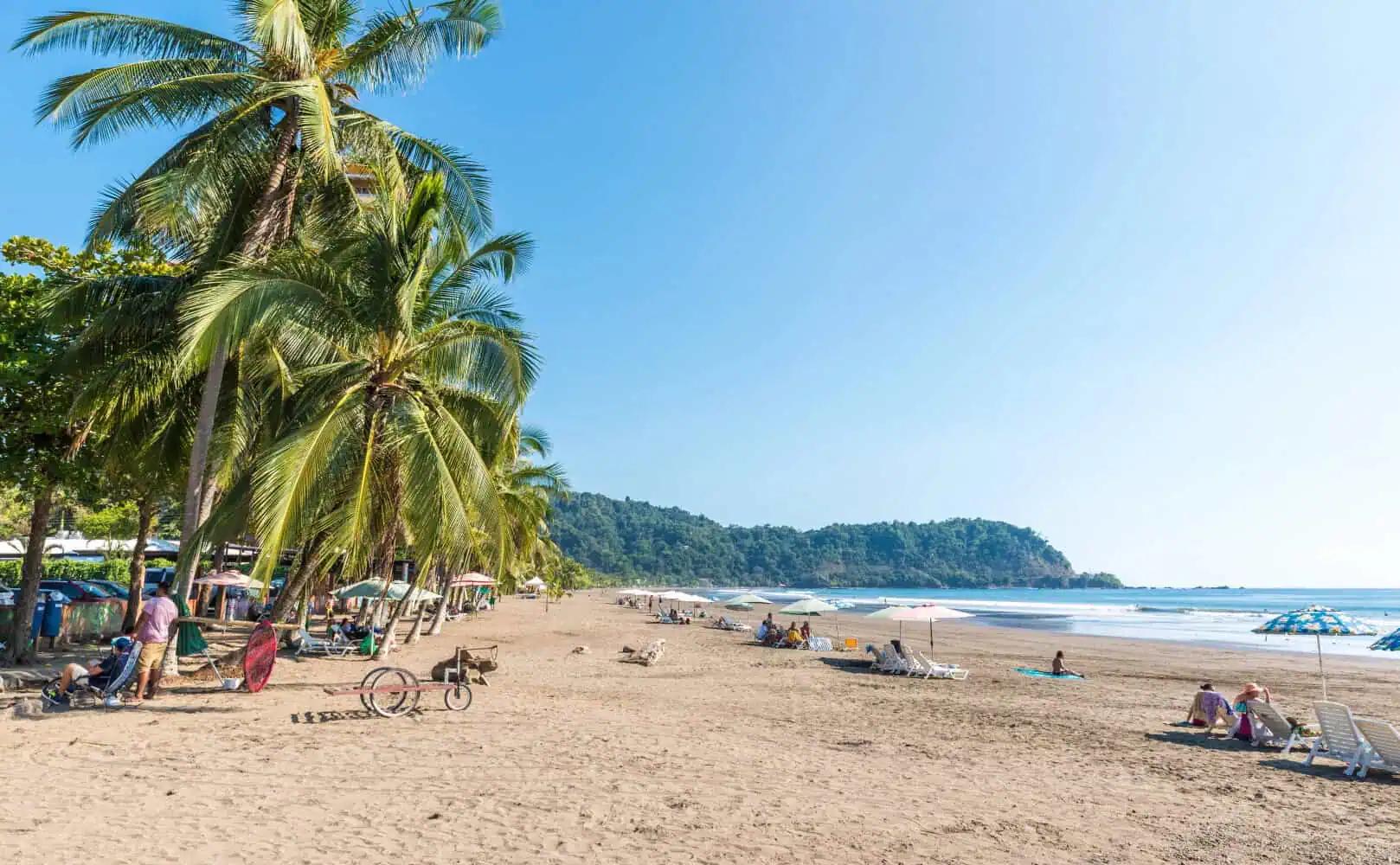Palm-lined beach in Jaco, Costa Rica