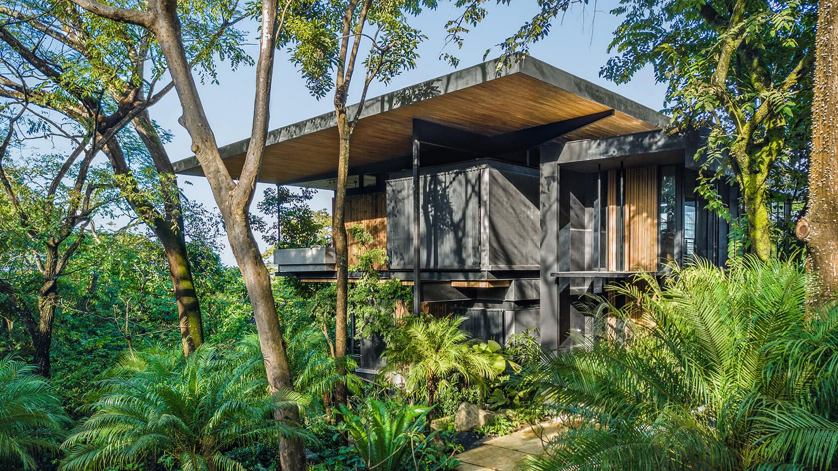 From Surf to Soil: Inside Costa Rica’s Eco-Living Movement (Lifestyle / Sustainability)
