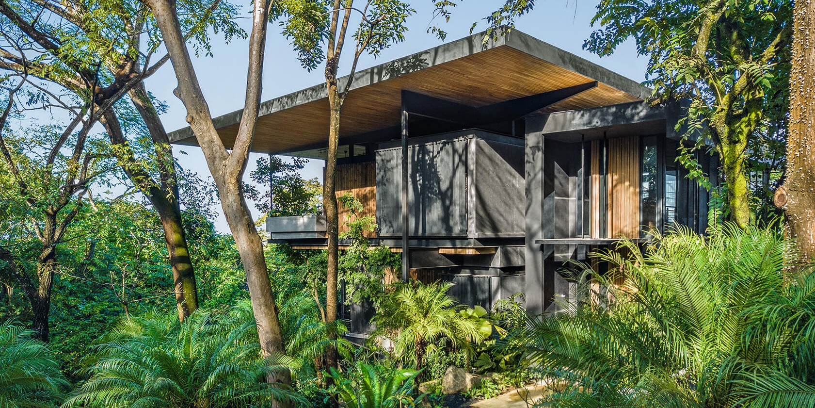 From Surf to Soil: Inside Costa Rica’s Eco-Living Movement (Lifestyle / Sustainability)
