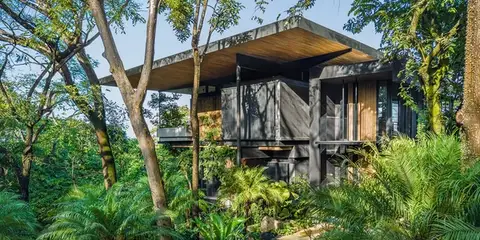 From Surf to Soil: Inside Costa Rica’s Eco-Living Movement (Lifestyle / Sustainability)