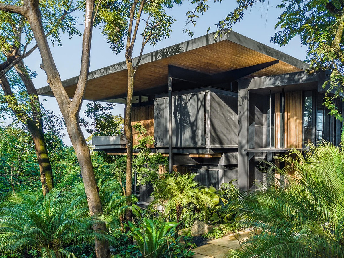 From Surf to Soil: Inside Costa Rica’s Eco-Living Movement (Lifestyle / Sustainability)