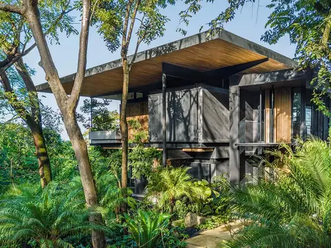 From Surf to Soil: Inside Costa Rica’s Eco-Living Movement (Lifestyle / Sustainability)