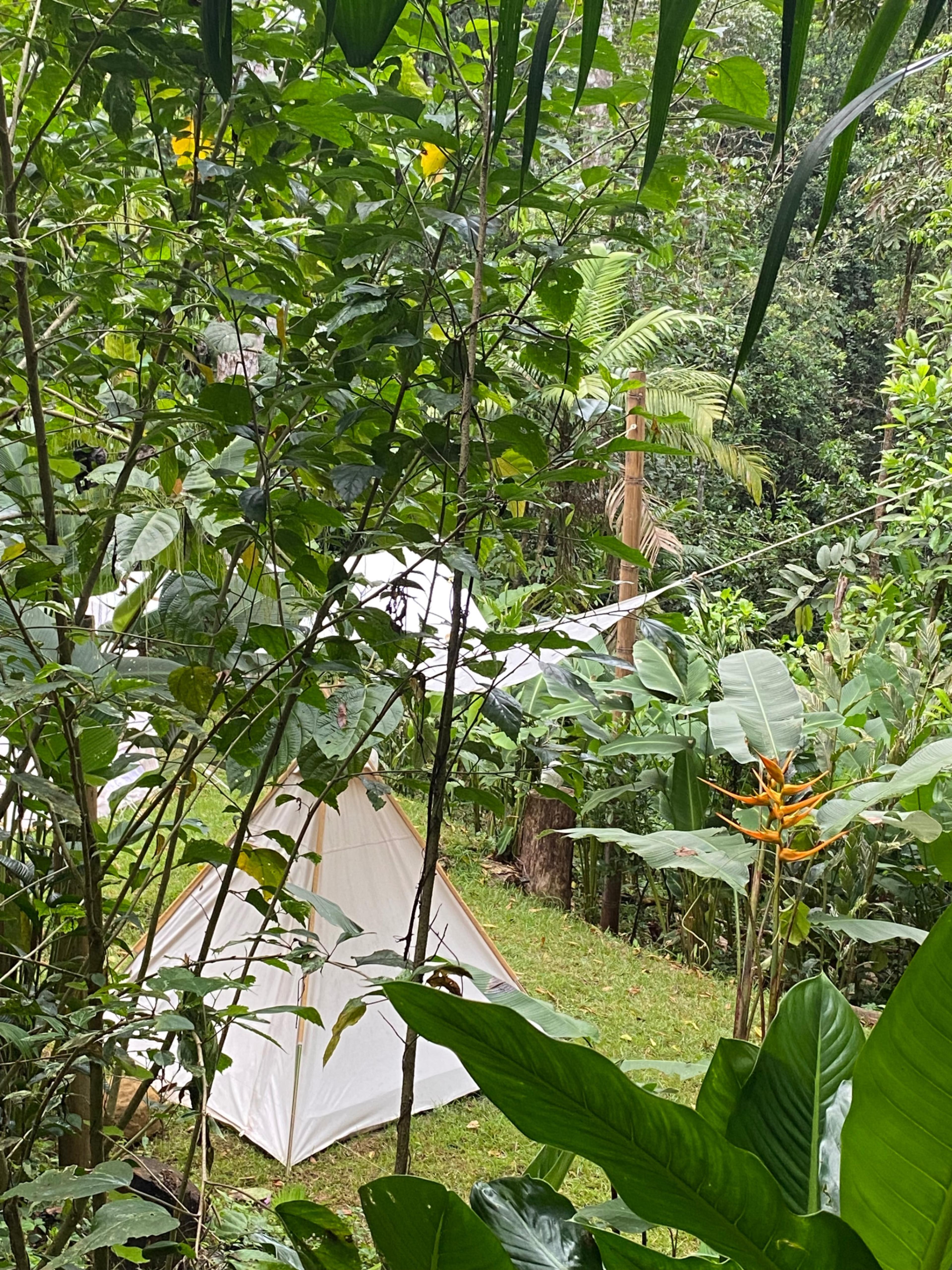 Turnkey Jungle Retreat Center with Private House