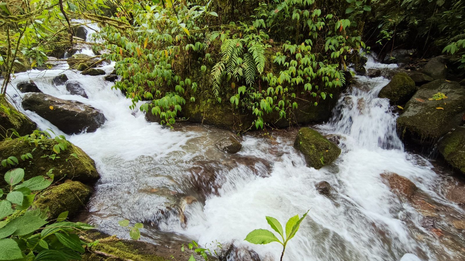48.49-Acre Property with River & Mountain Views
