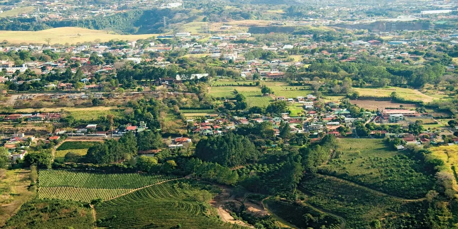The Central Valley vs. The Coast: Which Fits Your Lifestyle?