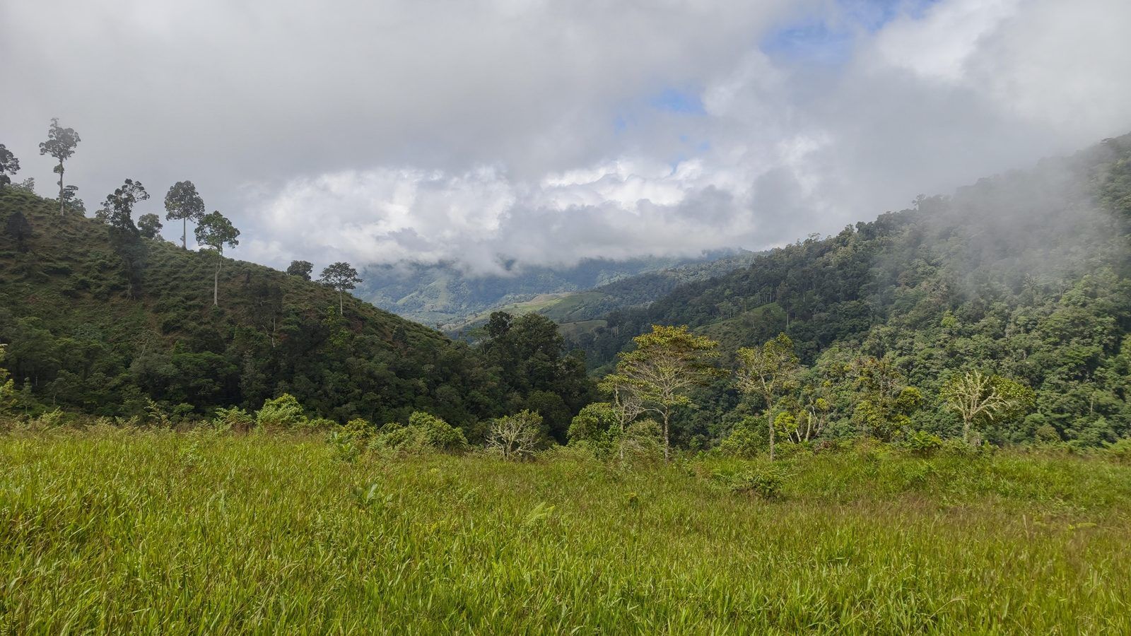 48.49-Acre Property with River & Mountain Views
