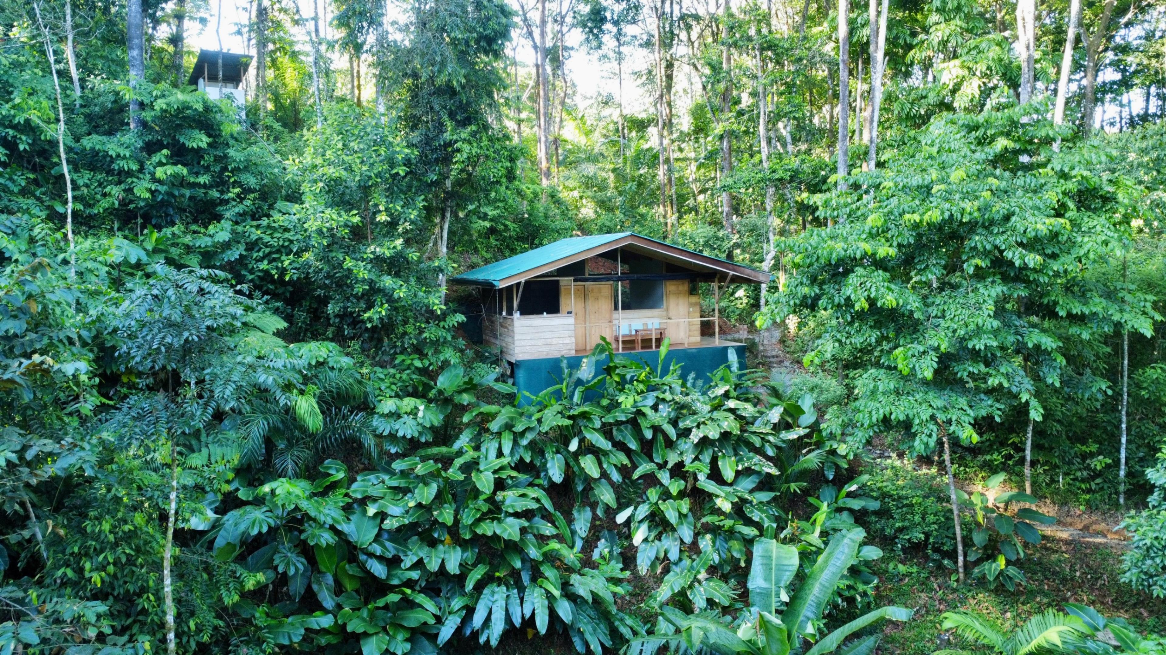 Turnkey Jungle Retreat Center with Private House