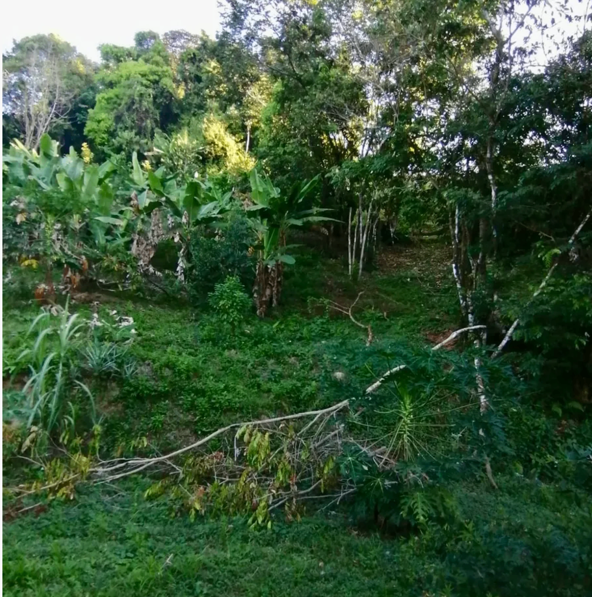 Stunning Ocean View Lot In Playa Hermosa