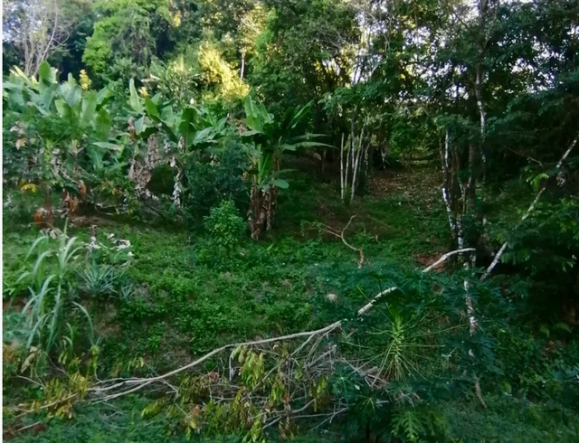 Stunning Ocean View Lot In Playa Hermosa