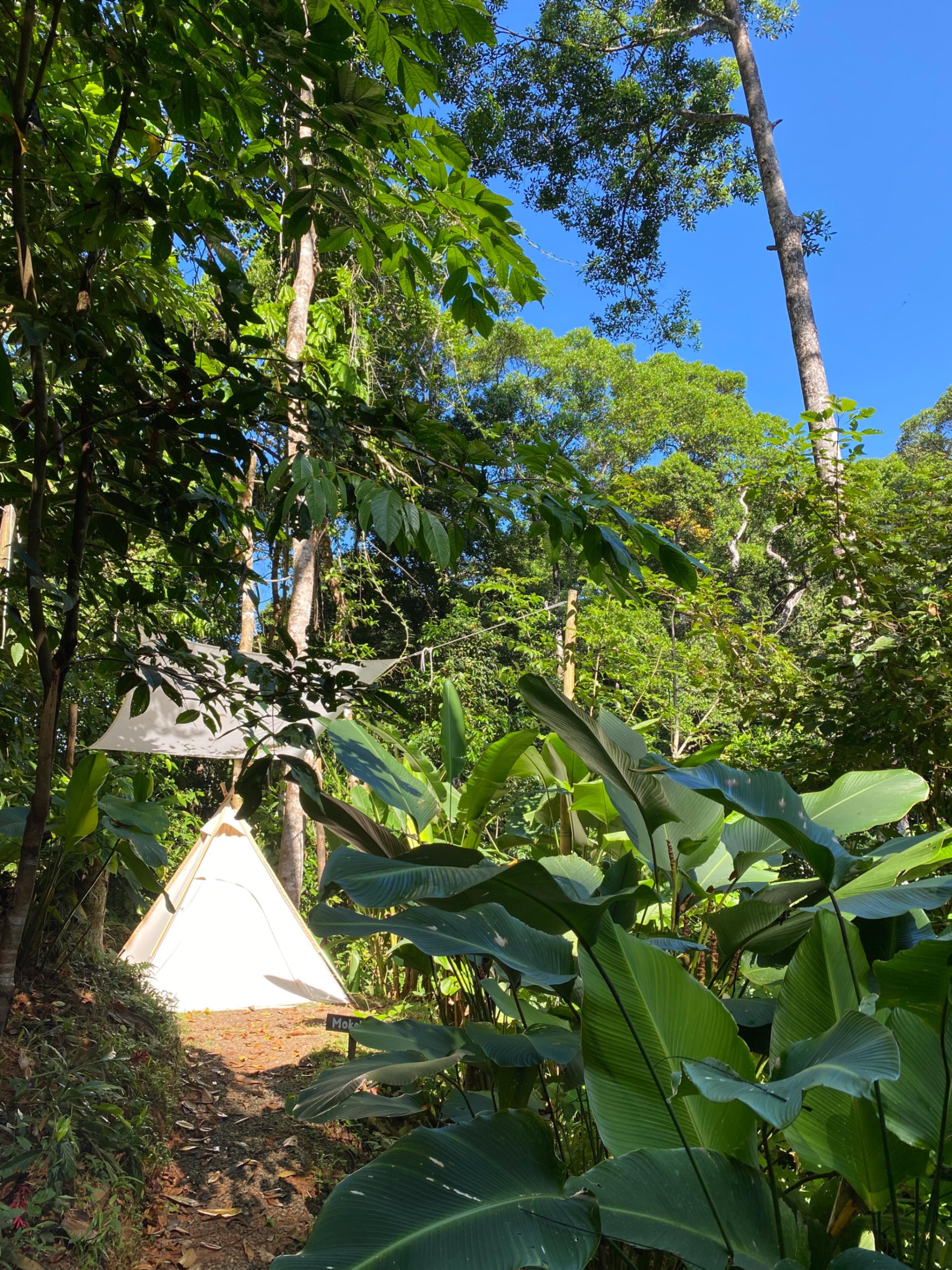 Turnkey Jungle Retreat Center with Private House