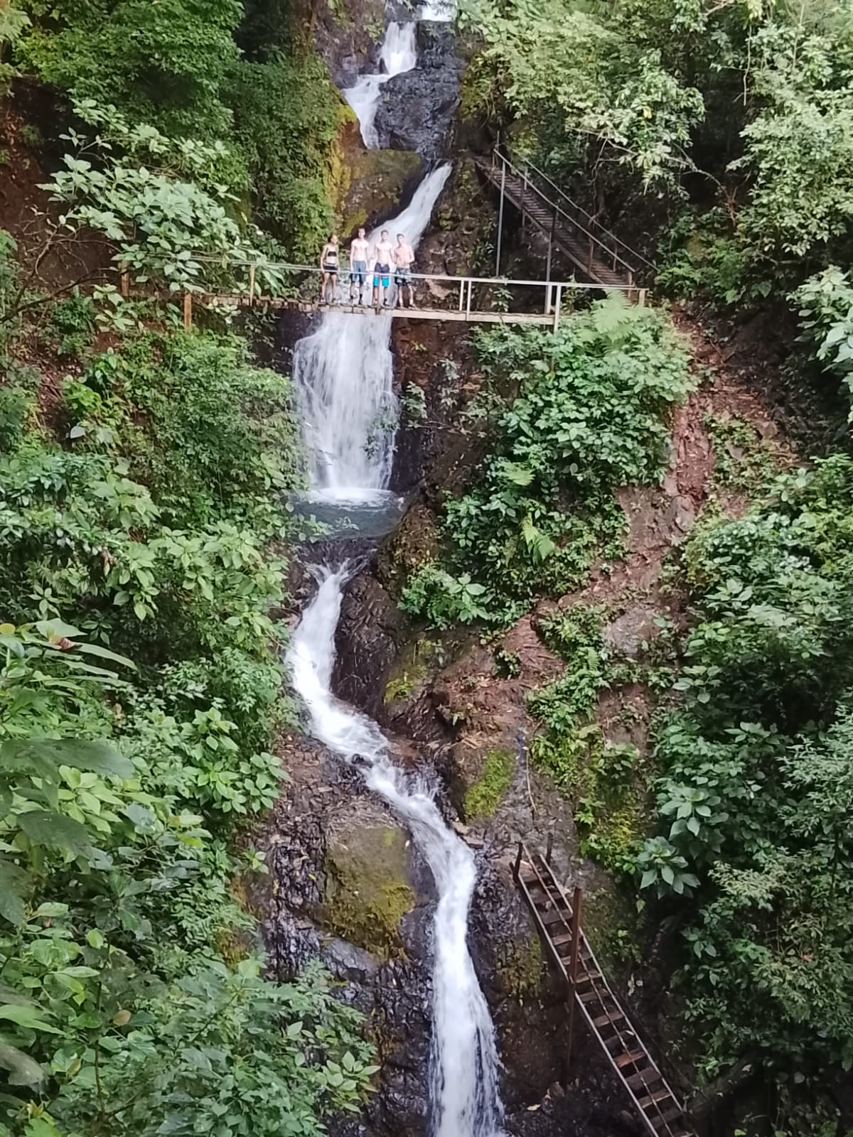 Seventh Heaven: Jungle & Sea