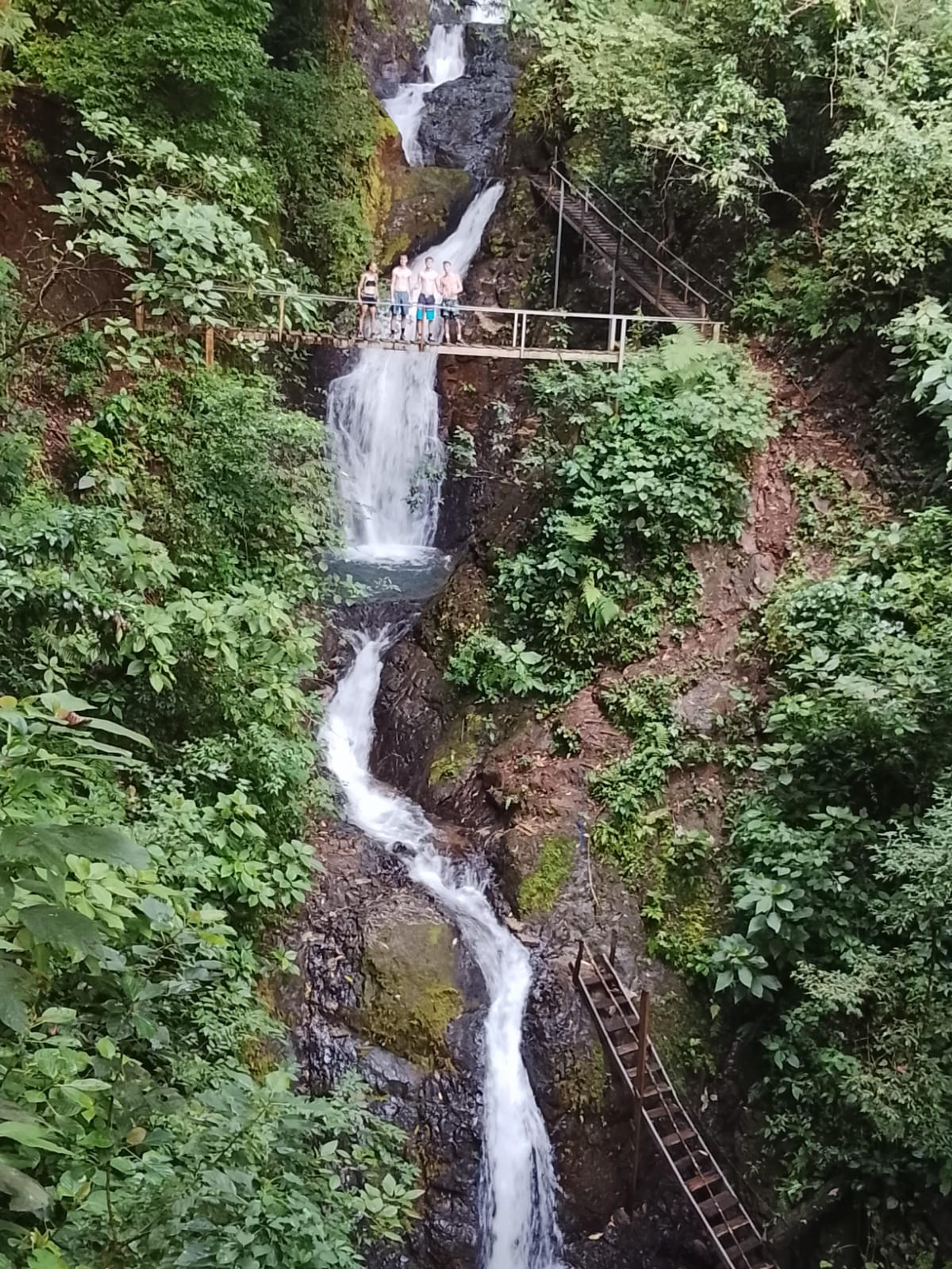 Seventh Heaven: Jungle & Sea
