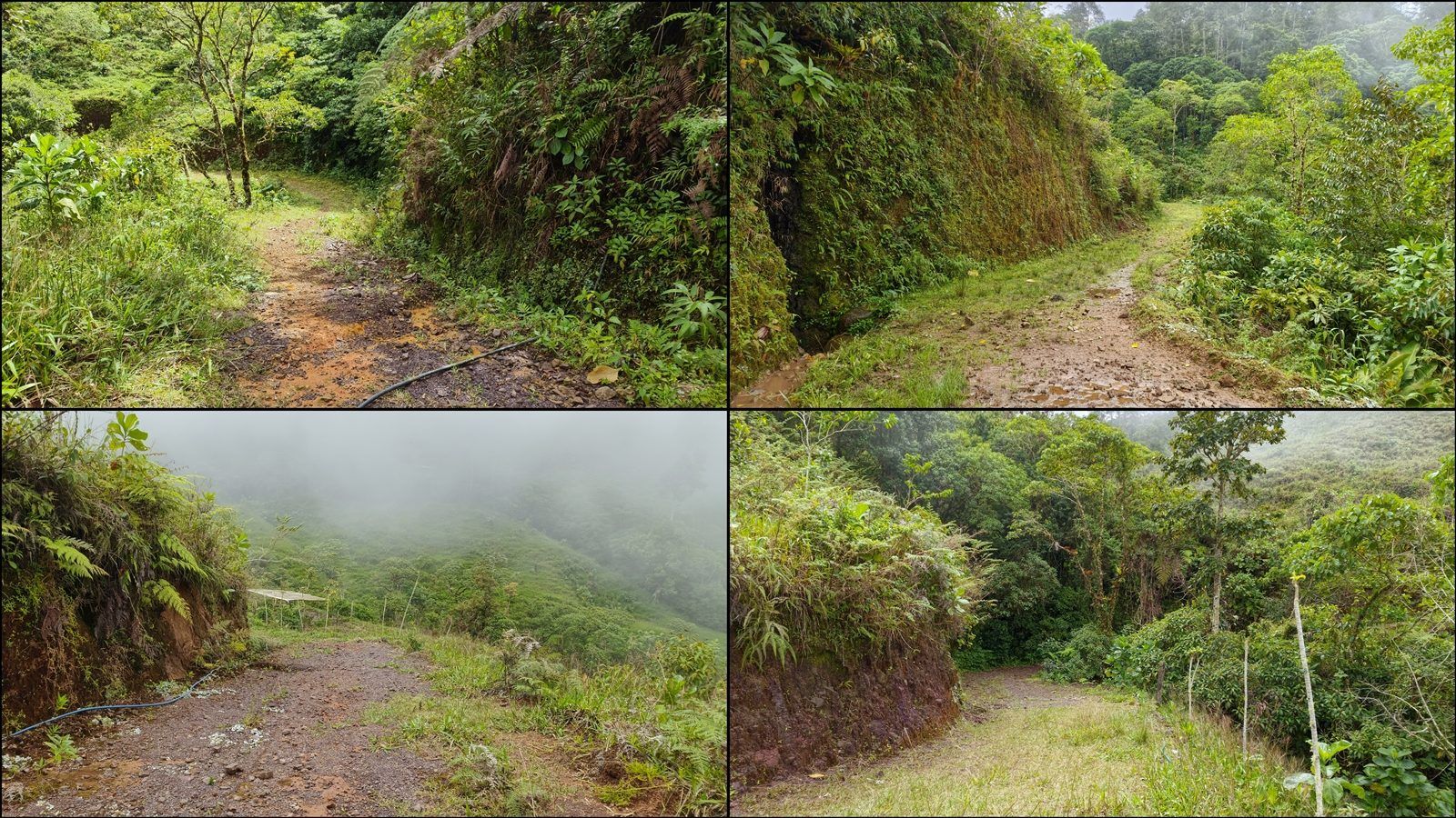 48.49-Acre Property with River & Mountain Views