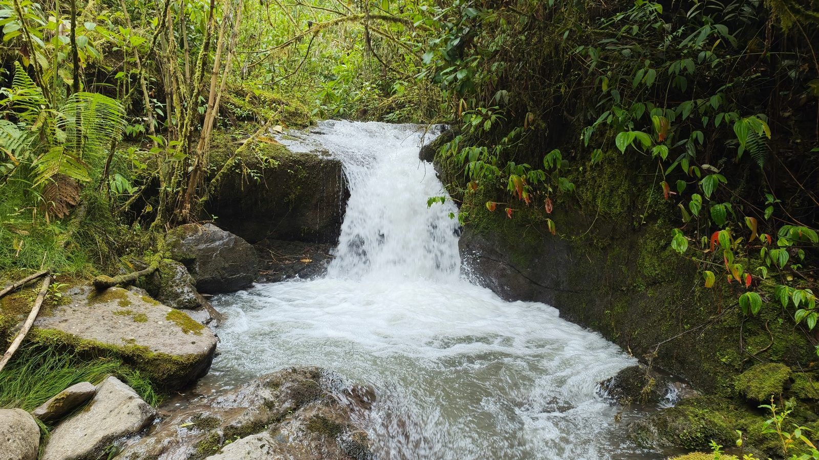 48.49-Acre Property with River & Mountain Views