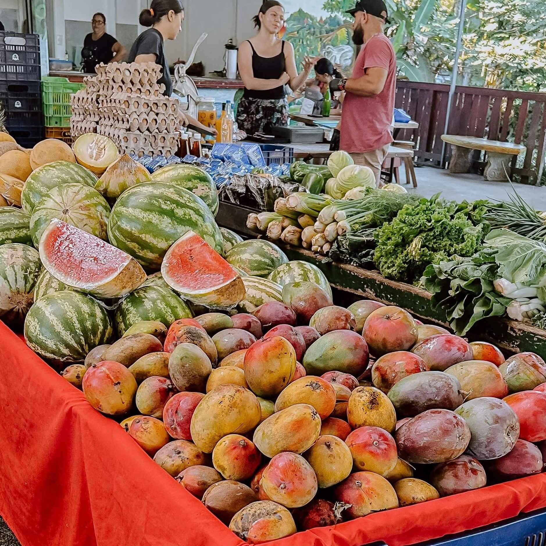 The Real Cost of Living Your Best Life in Costa Rica (2026)