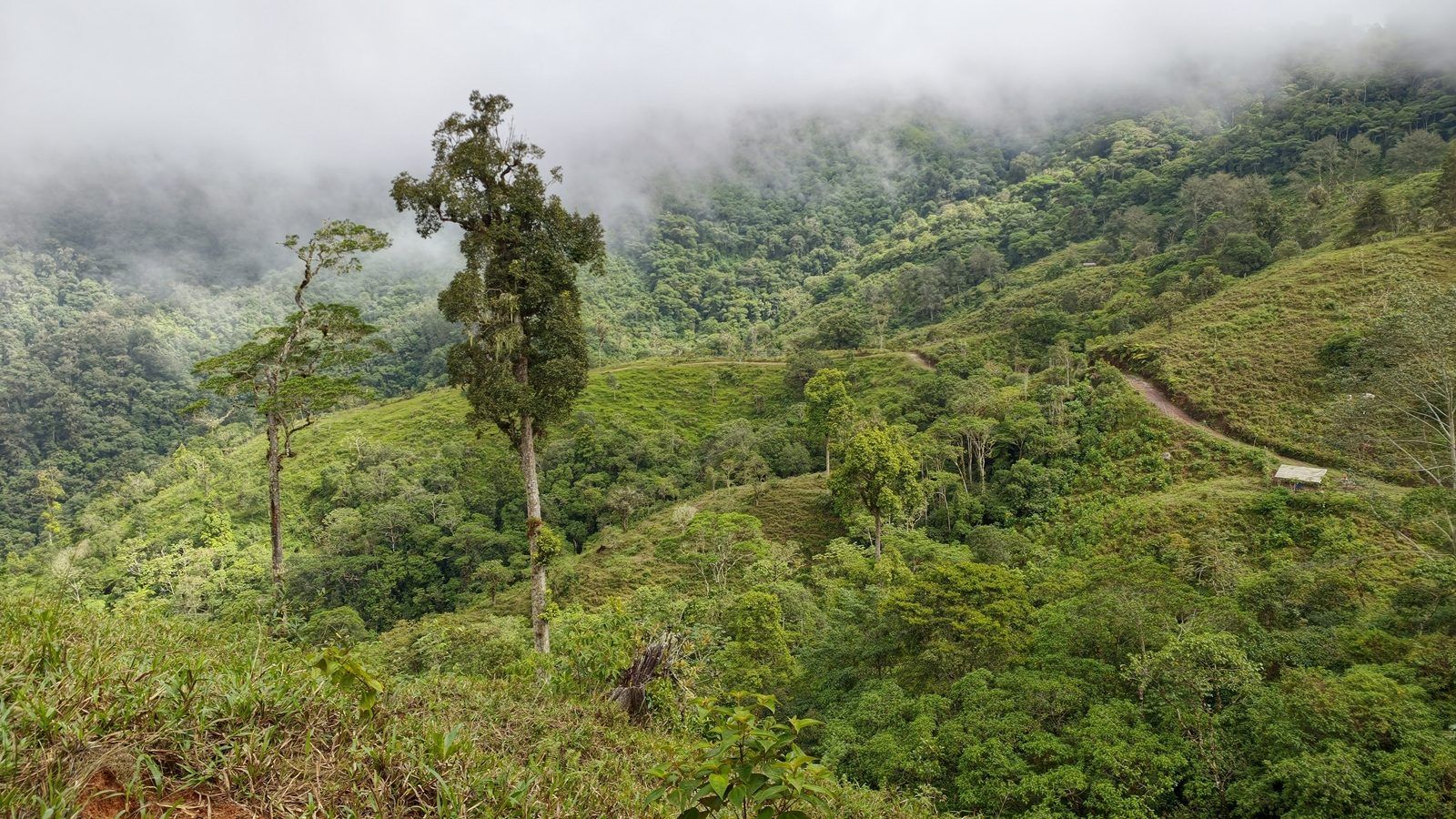 48.49-Acre Property with River & Mountain Views