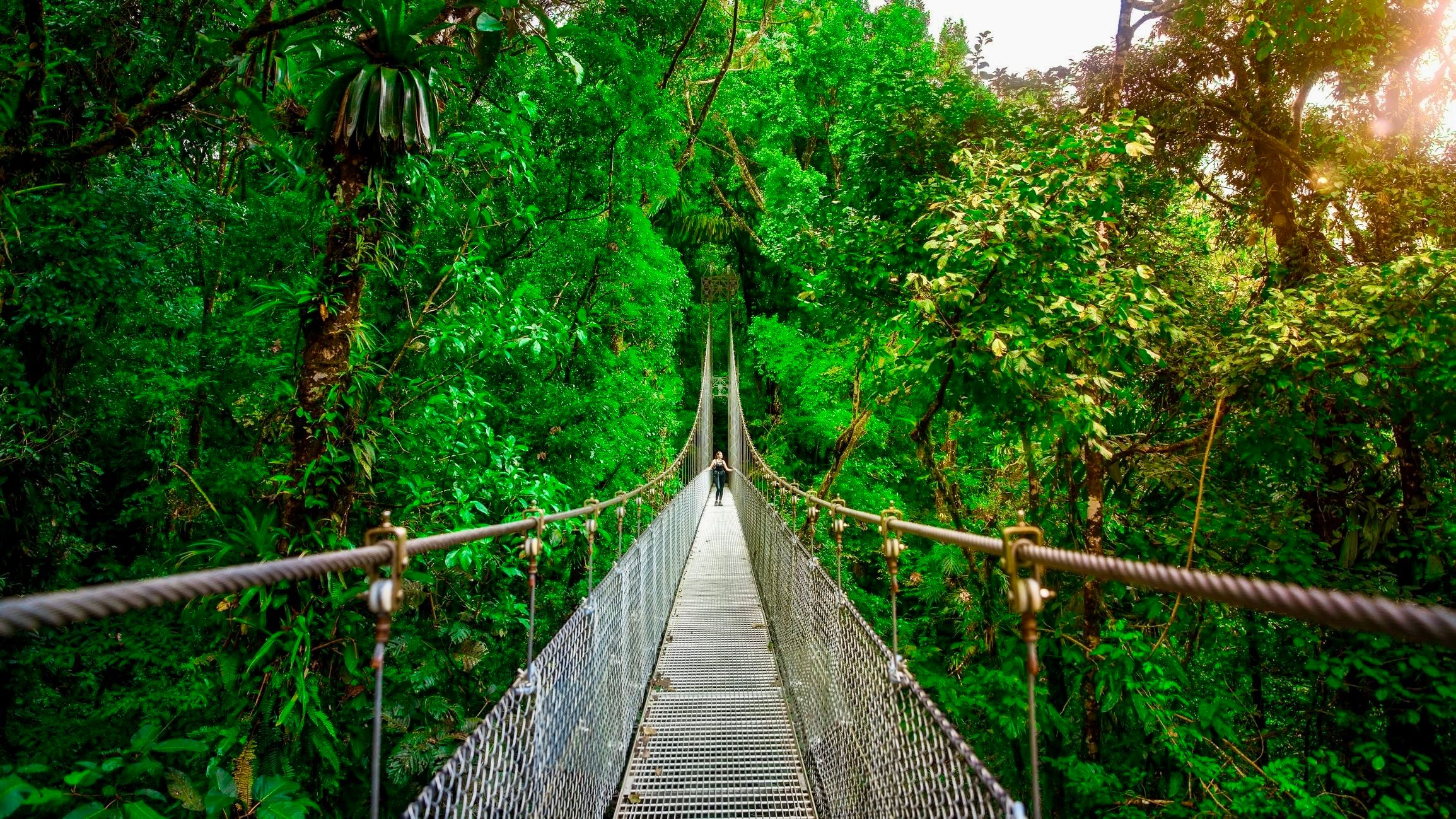 Hanging bridge in La Fortuna, Costa Rica