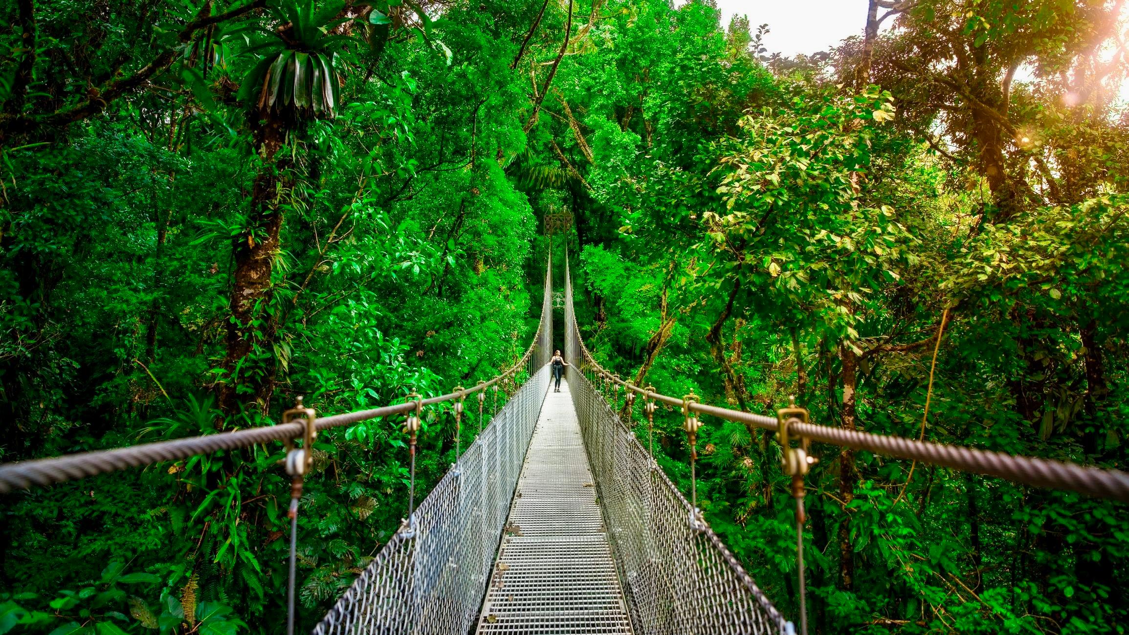 Hanging bridge in La Fortuna, Costa Rica
