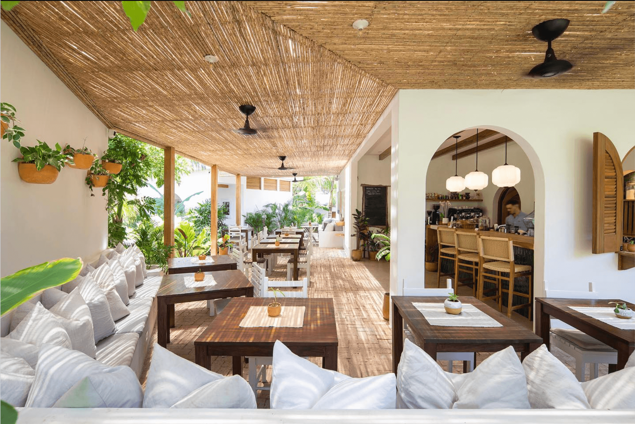 Digital Nomad Life in Nosara: Surf, Work, Thrive