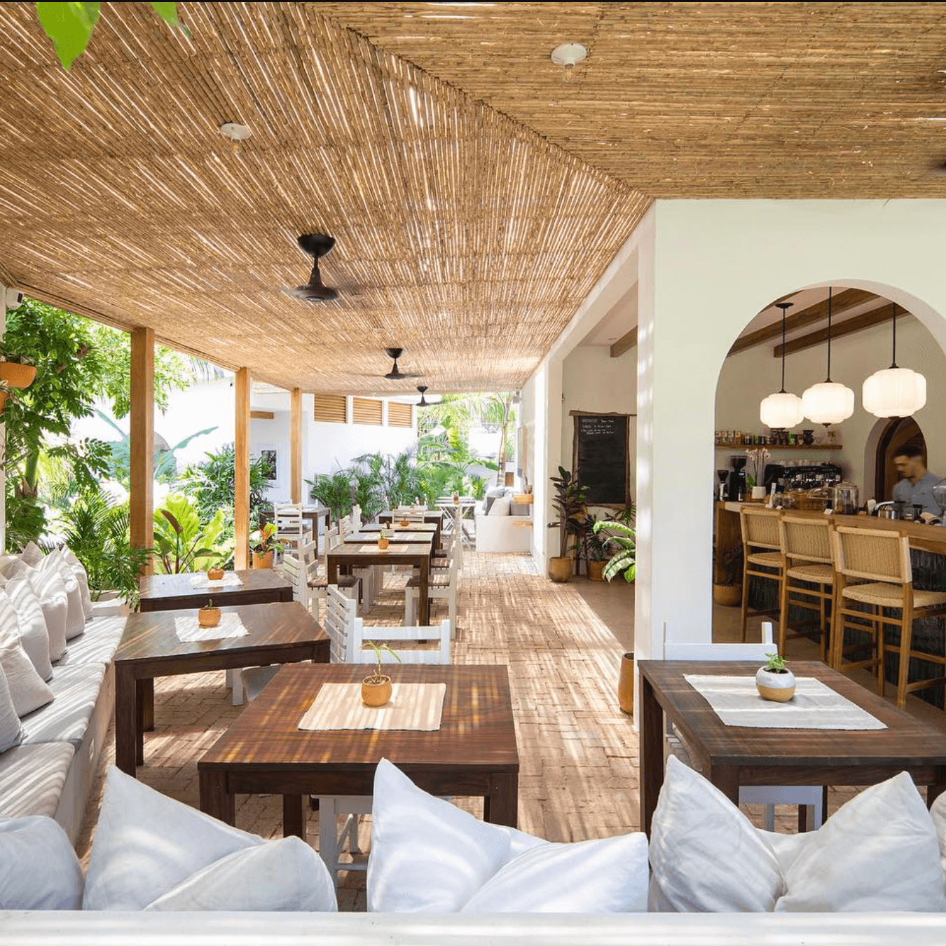 Digital Nomad Life in Nosara: Surf, Work, Thrive