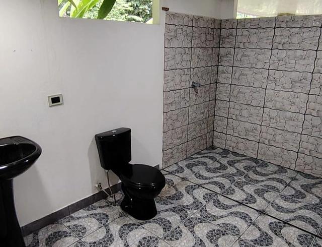 Casa Matapalo
