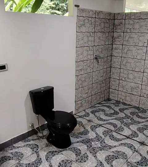 Casa Matapalo